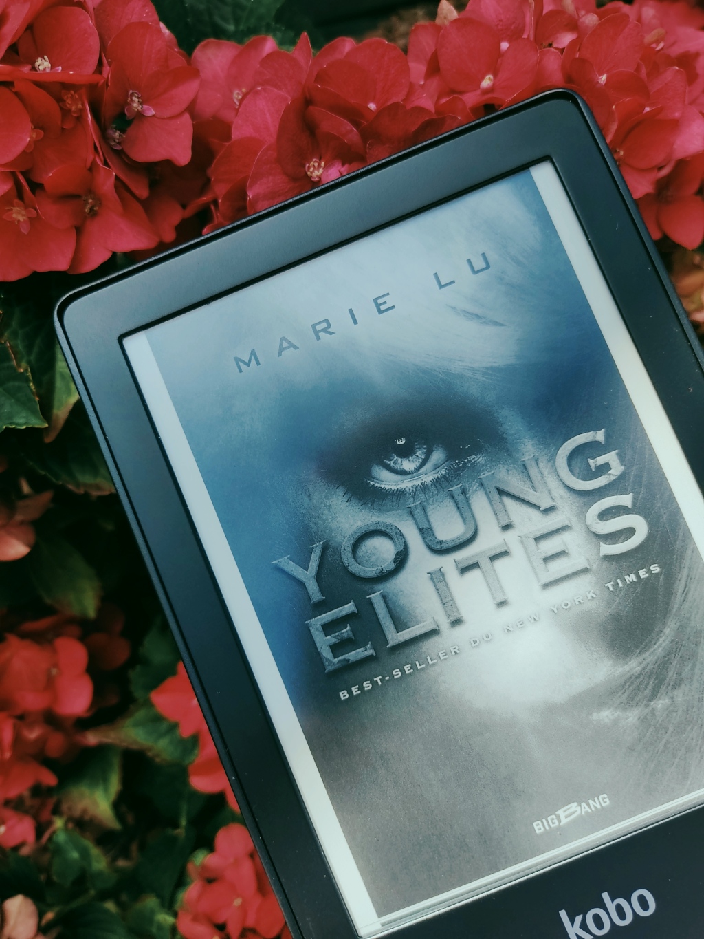 Young Elites, Marie Lu (Young Elites #1)